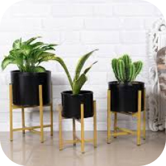 Indoor Plant Pot Stand Set logo